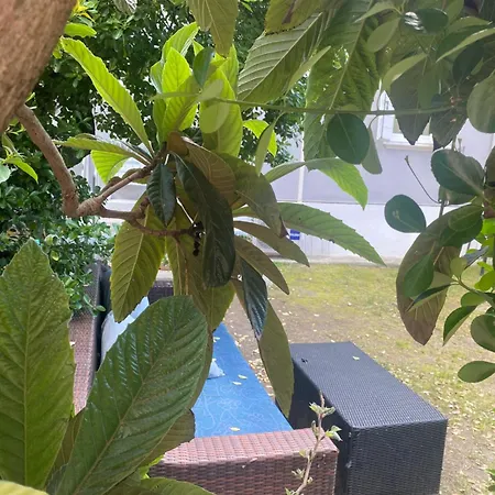 Casa Elisa 10 B Nyaraló *