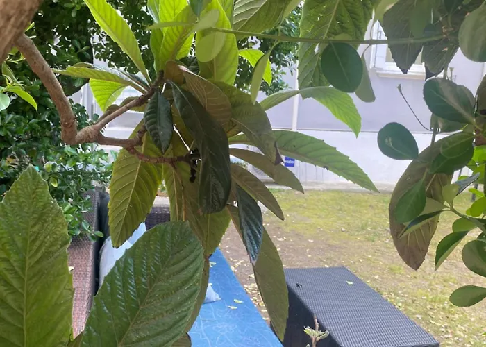 Casa Elisa 10 B بيت للعطل *